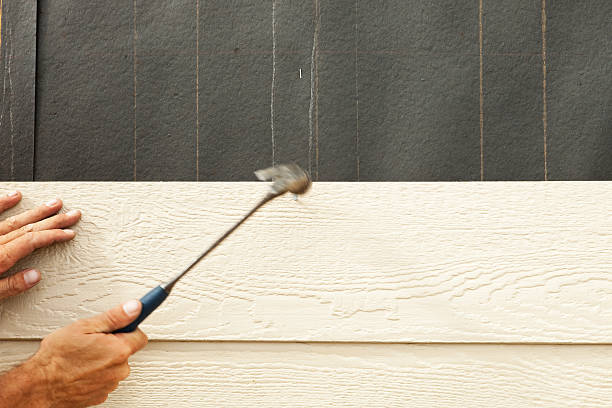 Best Insulated Siding Installation  in Columbia, MO